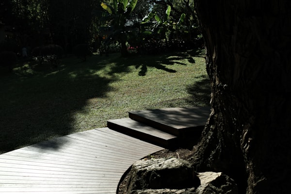 Wooden deck and steps leading to backyard